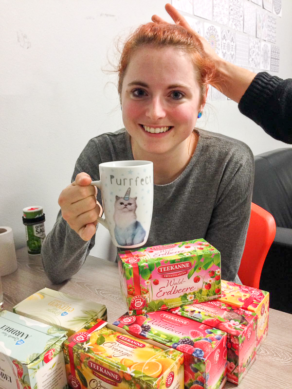 Mein Auslandssemester in den Niederlanden