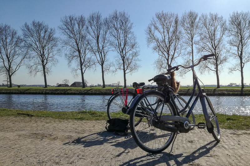 Mein Auslandssemester in den Niederlanden