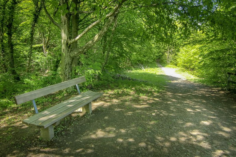 Lernplätze Mönchsberg Bank