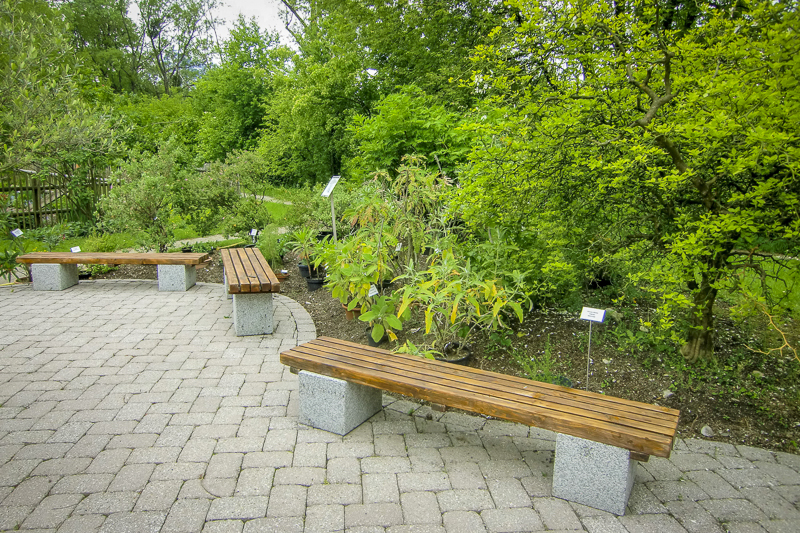 Lernplätze Botanischer Garten