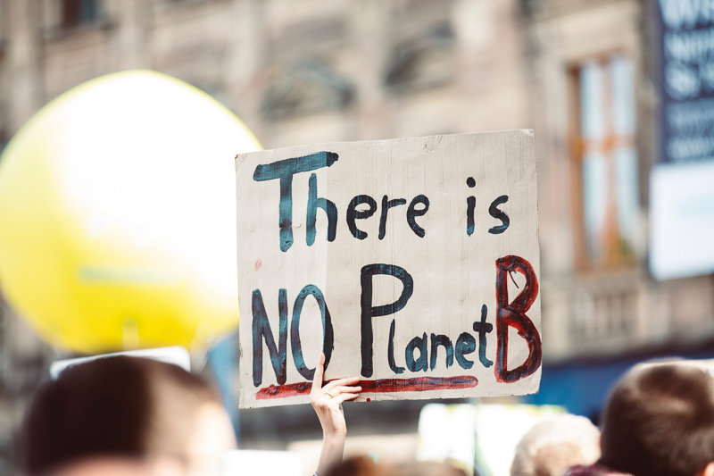 Klimawandel und Nachhaltigkeit Demonstranten