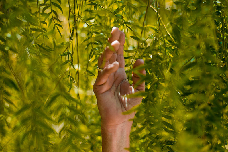 Hand umgeben von Blättern