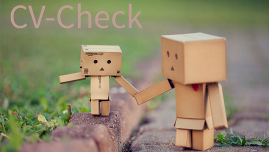 CV-Check des Career Centers