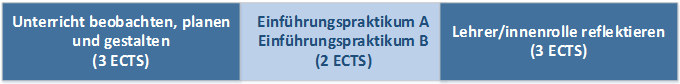 Lehrveranstaltungen des Einführungspraktikums