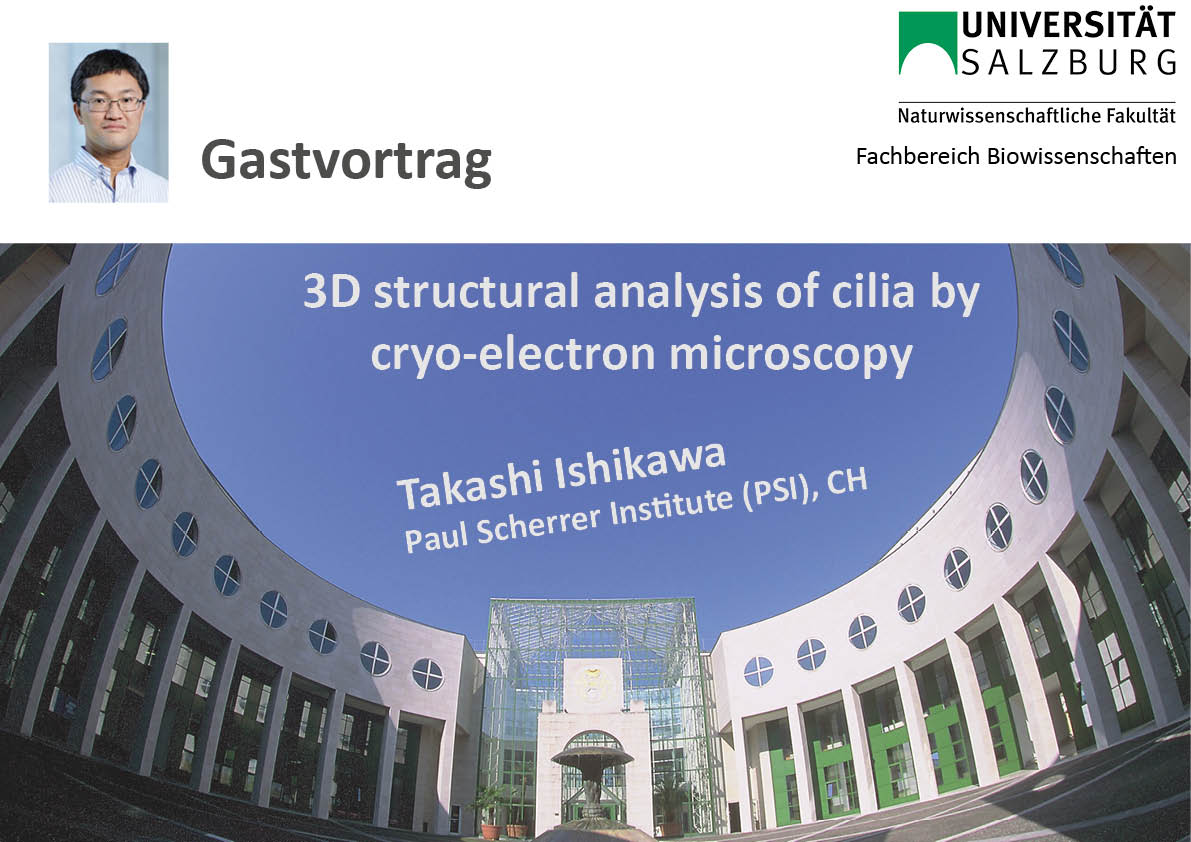 Bild Newsmeldung Takashi