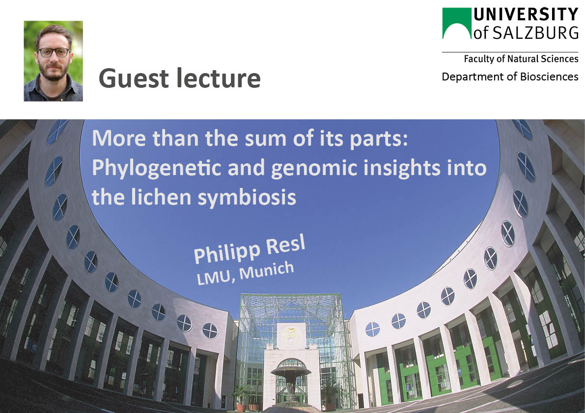 Bild Newsmeldung Resl