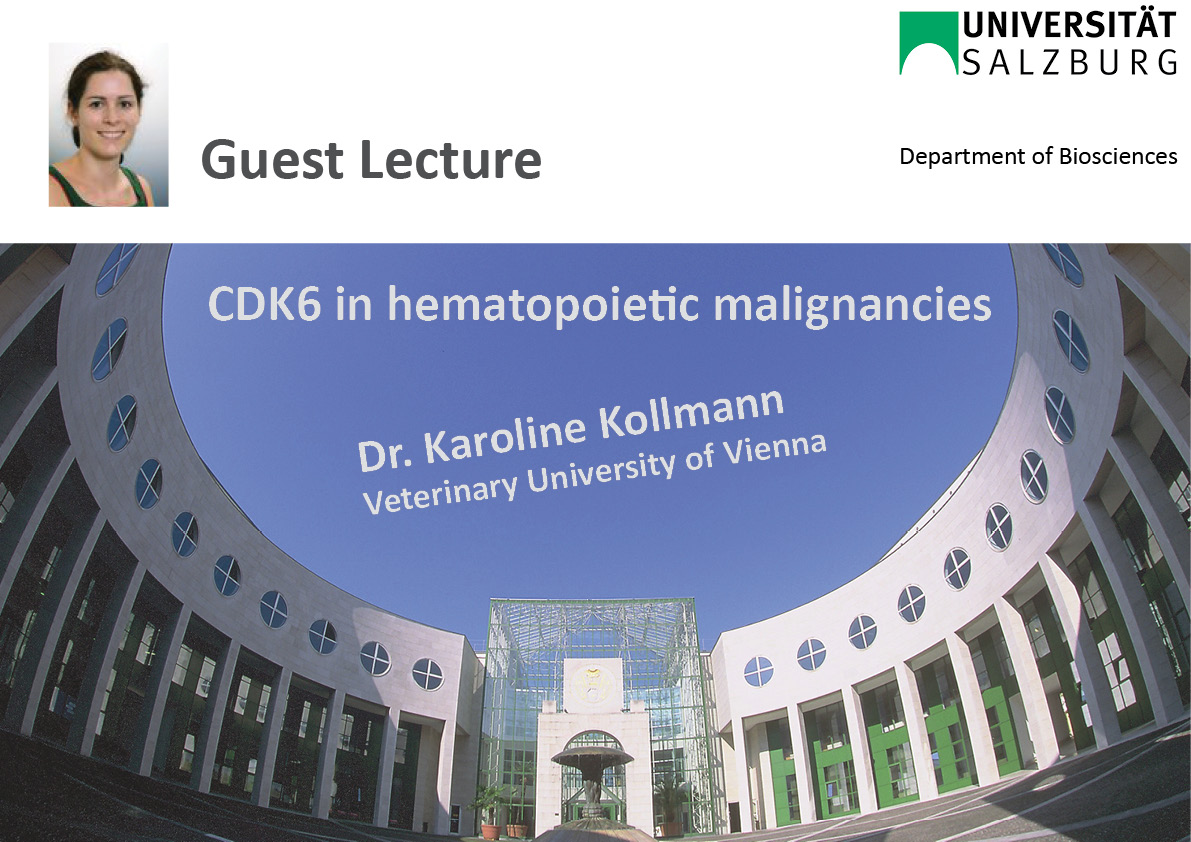 Guest lecture Karoline Kollmann