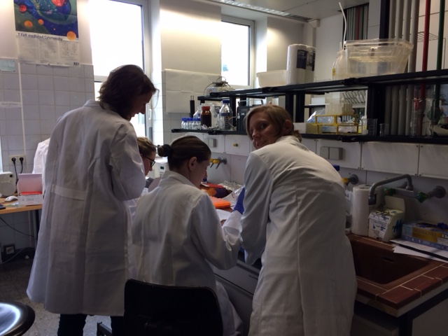 Students hard at work in the hormonal analysis lab 2