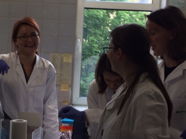 Students hard at work in the hormonal analysis lab 3
