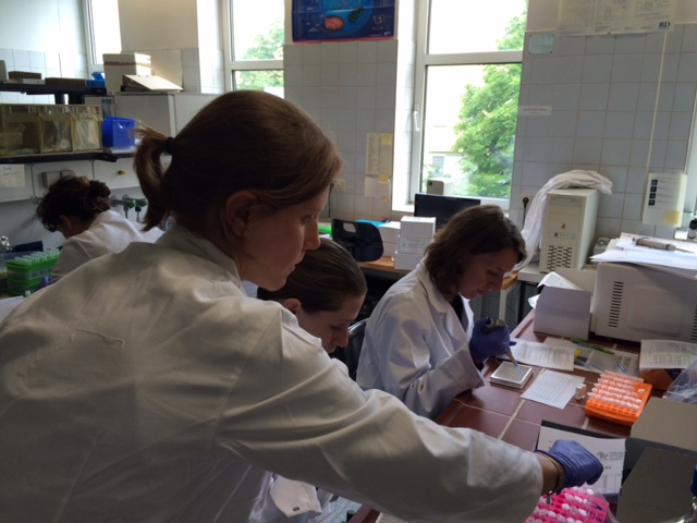 Students hard at work in the hormonal analysis lab 4