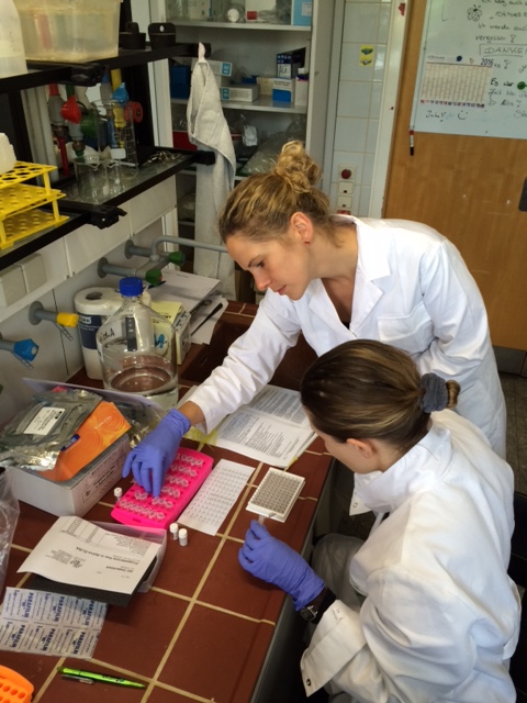 Students hard at work in the hormonal analysis lab 6