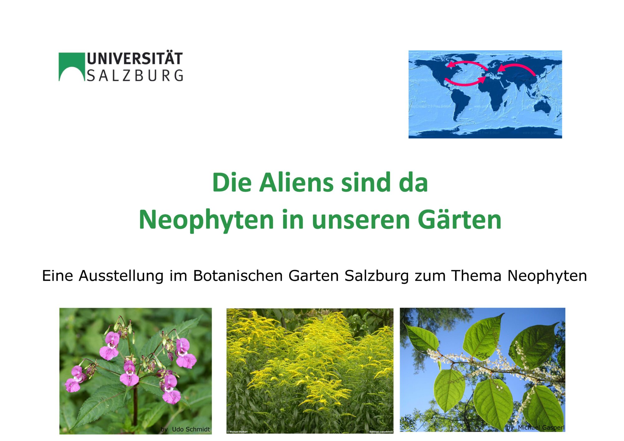 Die Aliens sind da – Neophyten in unseren Gärten - Universität Salzburg