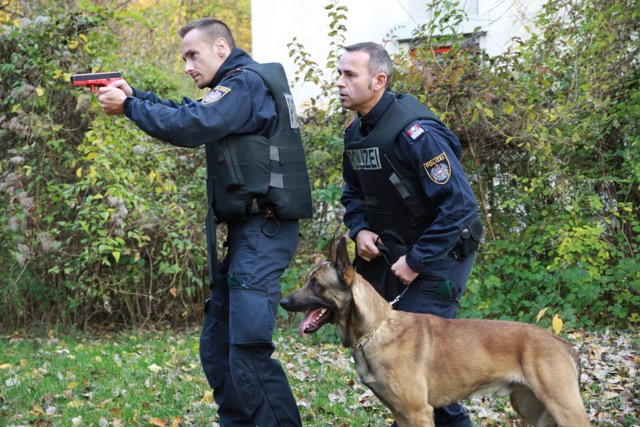 Foto_Polizeihunde