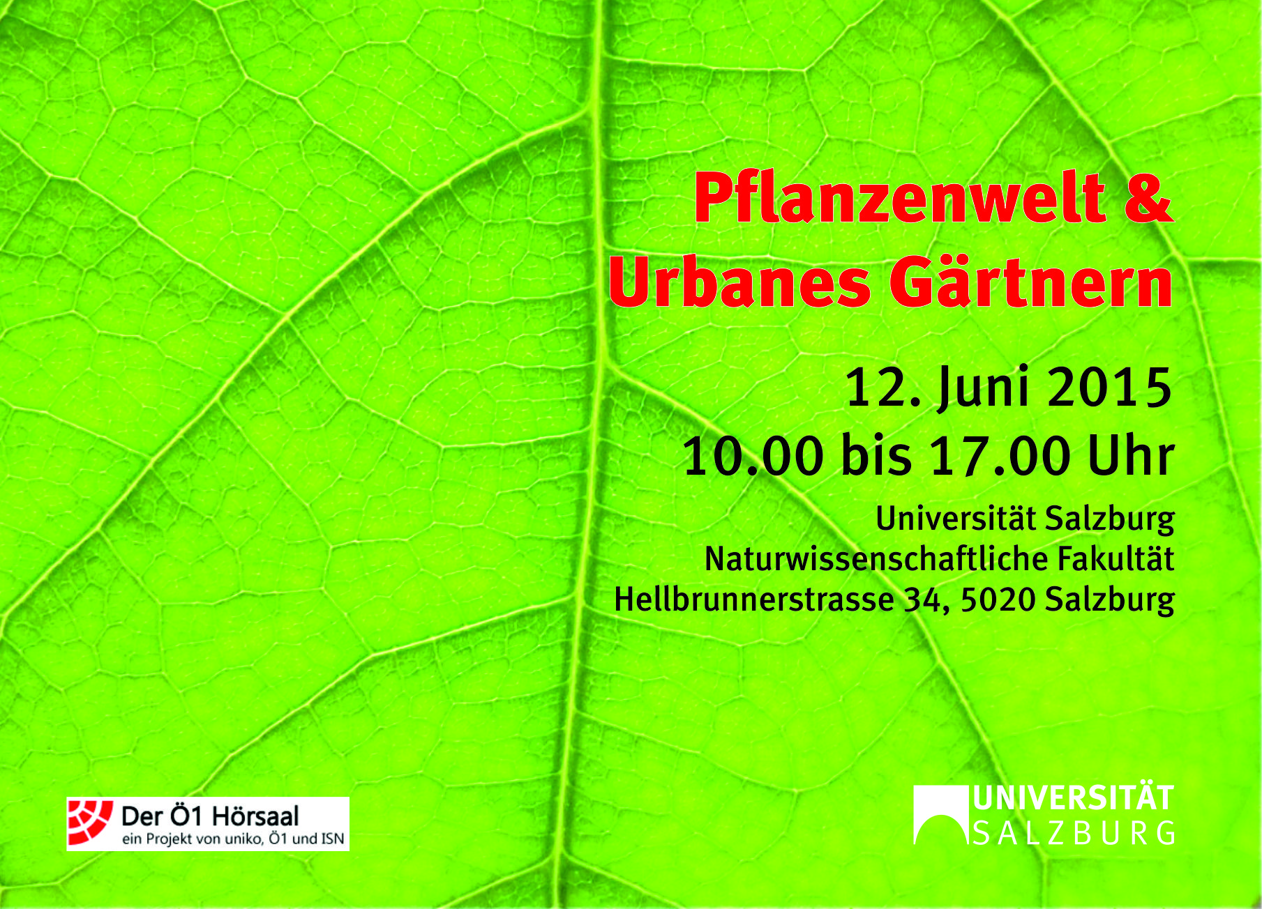 Blattstruktur und Einladungstext