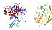 Bild von Protein
