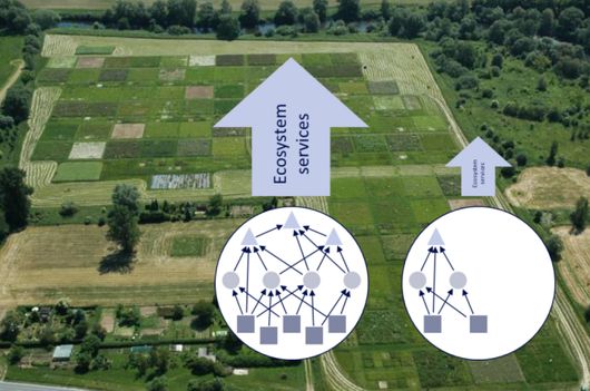Barrierefreiheit: Kurzbeschreibung des Bildes Barrierefreiheit: Kurzbeschreibung des Bildes