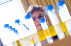 Barrierefreiheit: Kurzbeschreibung des Bildes