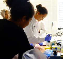 Barrierefreiheit: Kurzbeschreibung des Bildes