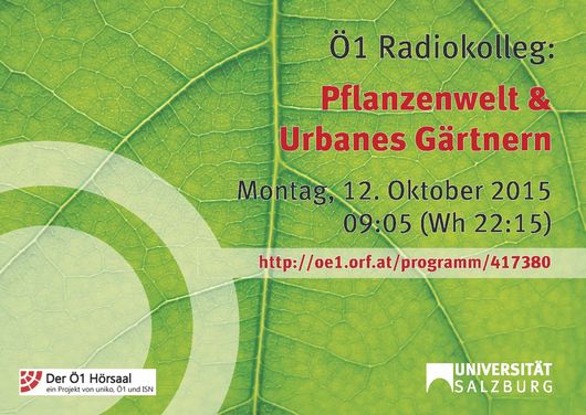 Barrierefreiheit: Kurzbeschreibung des Bildes