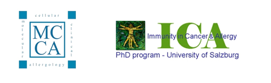 Barrierefreiheit: Kurzbeschreibung des Bildes