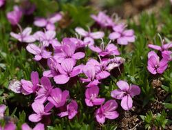 Barrierefreiheit: Kurzbeschreibung des Bildes