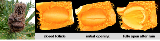 Barrierefreiheit: Kurzbeschreibung des Bildes