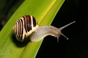 Barrierefreiheit: Kurzbeschreibung des Bildes