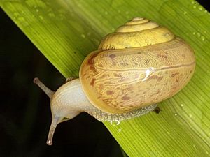 Barrierefreiheit: Kurzbeschreibung des Bildes