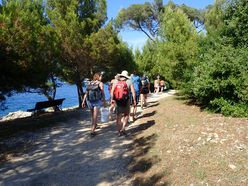 Barrierefreiheit: Kurzbeschreibung des Bildes