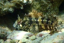 Barrierefreiheit: Kurzbeschreibung des Bildes