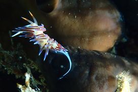 Barrierefreiheit: Kurzbeschreibung des Bildes