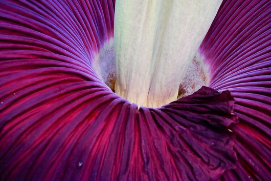 Foto: Simon Haigermoser Foto: Simon Haigermoser