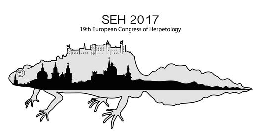 SEH-Logo2017