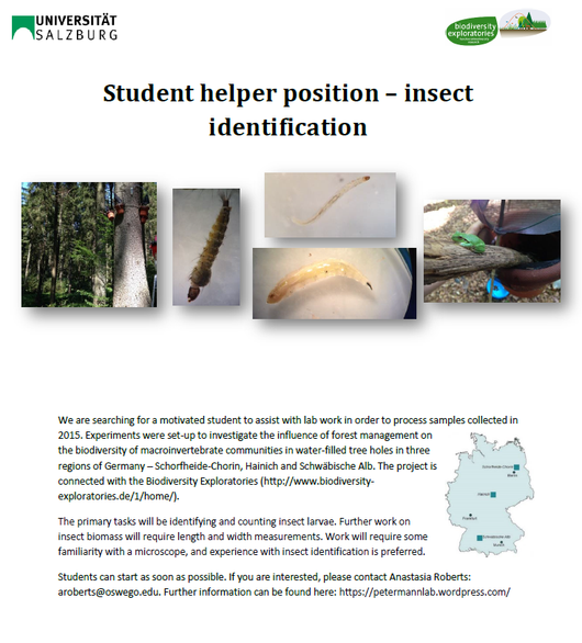 Barrierefreiheit: Kurzbeschreibung des Bildes Barrierefreiheit: Kurzbeschreibung des Bildes