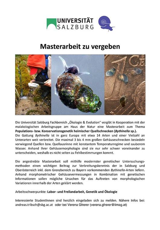 Barrierefreiheit: Kurzbeschreibung des Bildes Barrierefreiheit: Kurzbeschreibung des Bildes