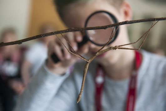 Barrierefreiheit: Kurzbeschreibung des Bildes Barrierefreiheit: Kurzbeschreibung des Bildes