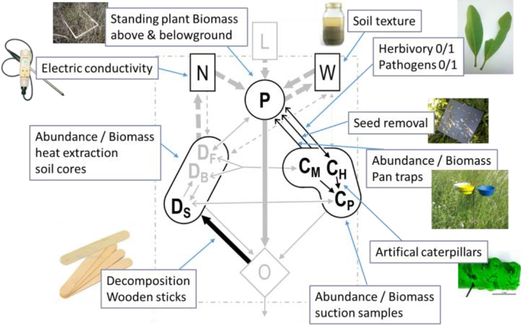 Barrierefreiheit: Kurzbeschreibung des Bildes