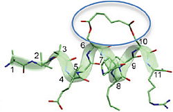 Peptide-based drugs