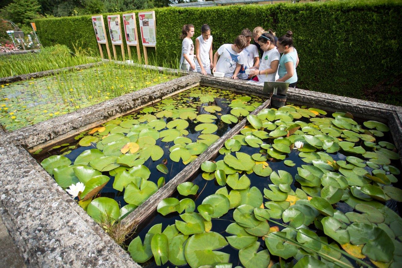 „ Tages des Wassers, Botanischer Garten