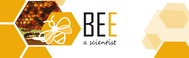 Logo "Bee a scientist" Credit: Freya Hutter