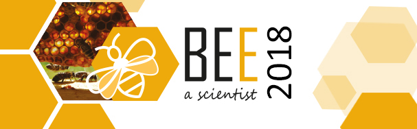Bee a scientist 2018 Impressionen