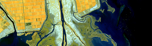 interm2.png Banner_publications