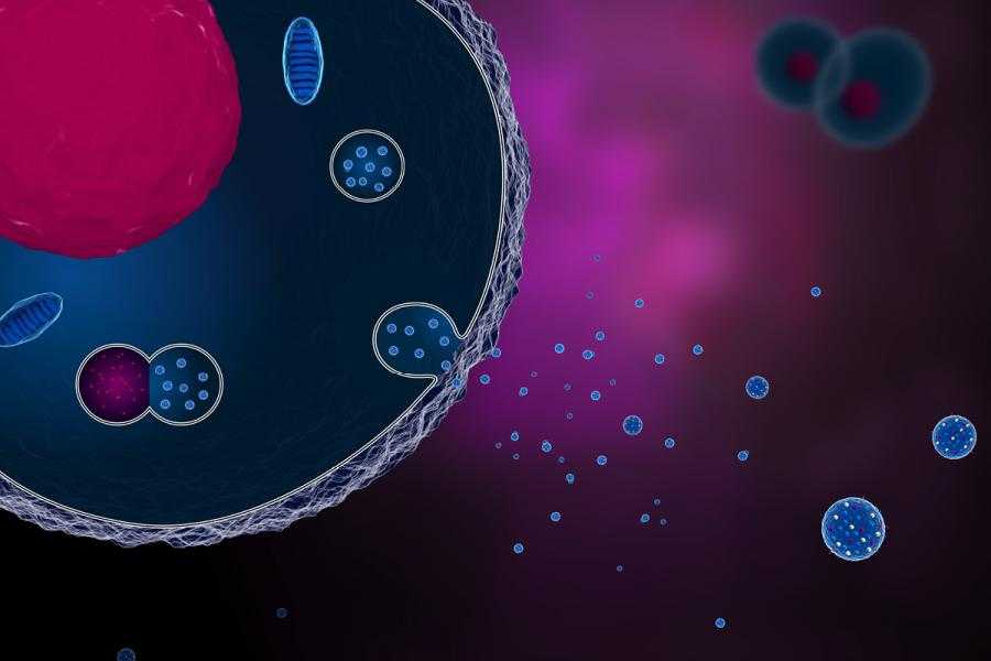 Foto: Meletios Verras, iStock