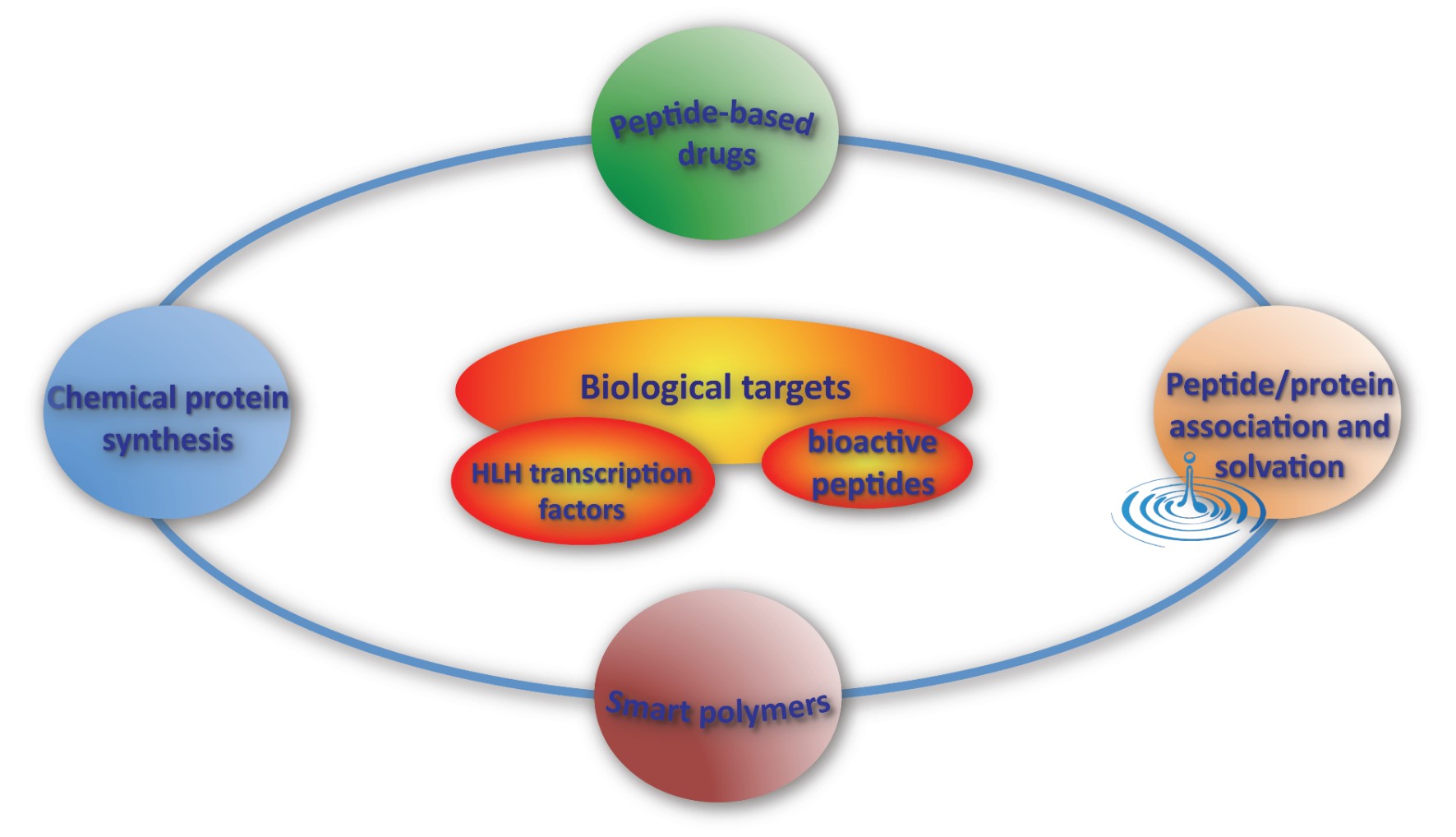 biological targets