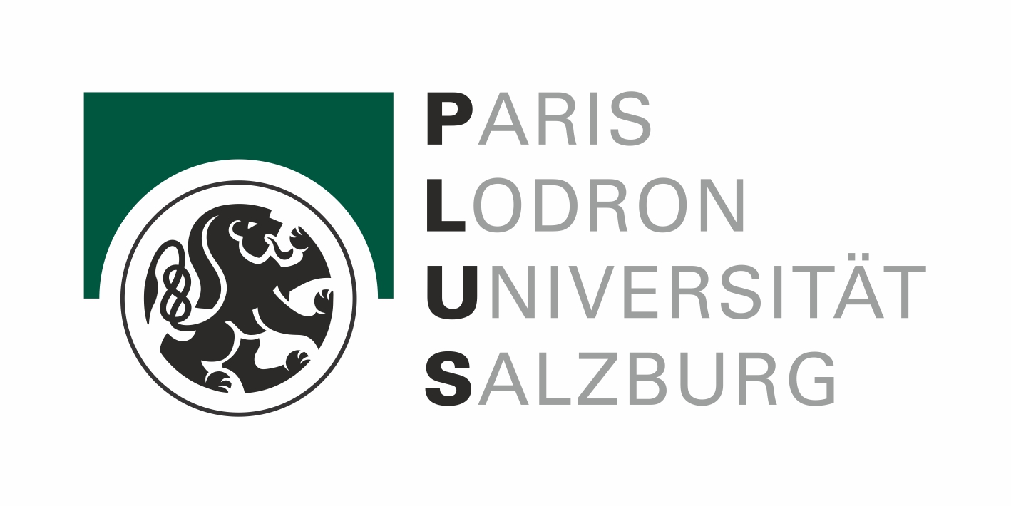 PLUS Logo deutsch farbig