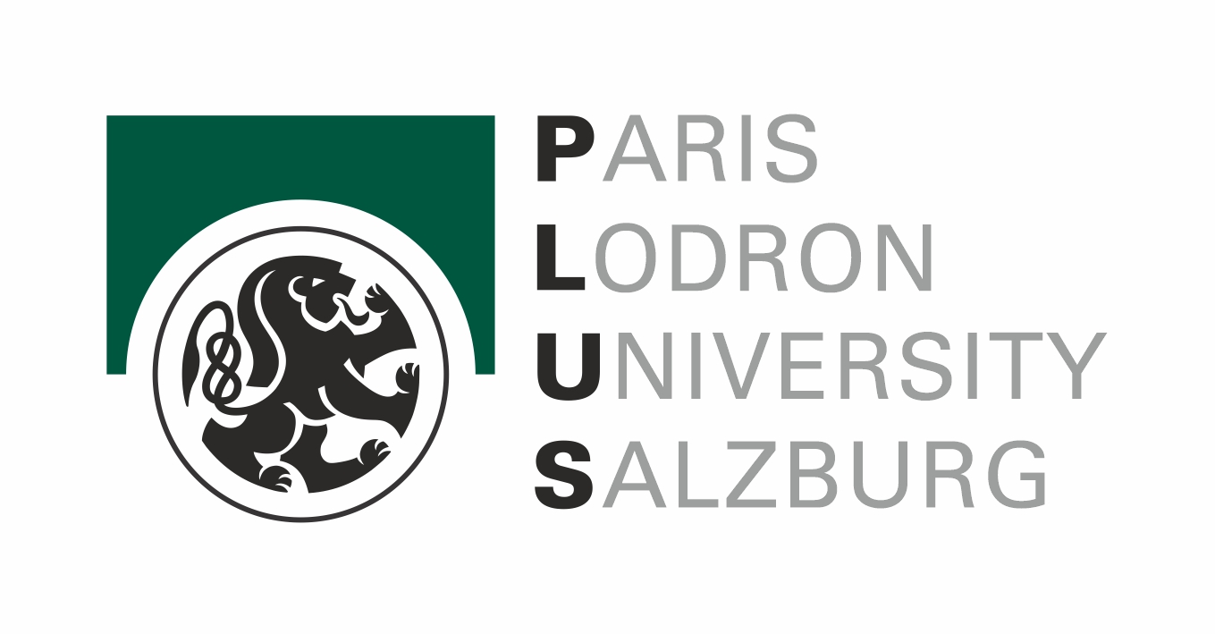 PLUS Logo english colorized