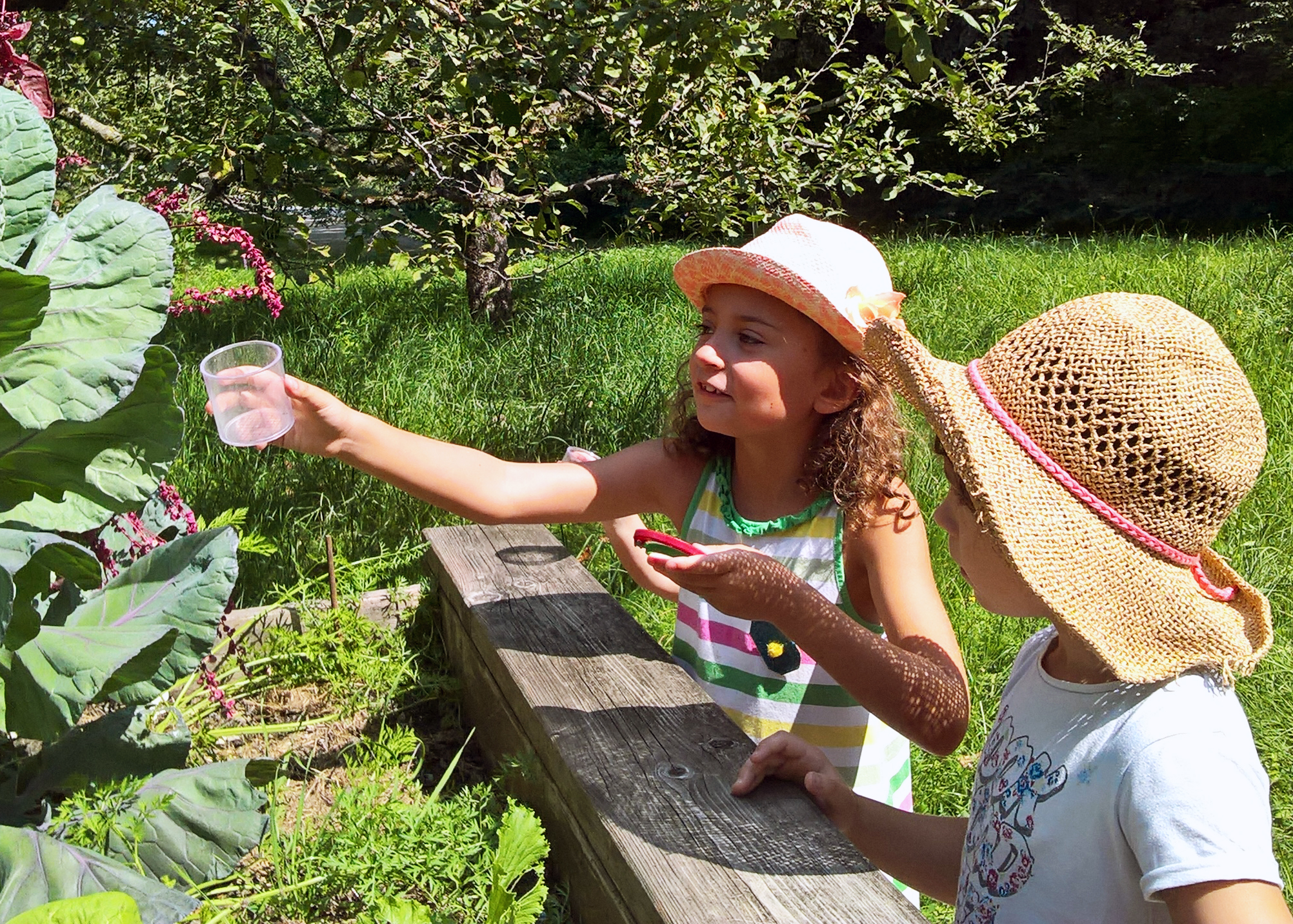 Kinder im Sommer