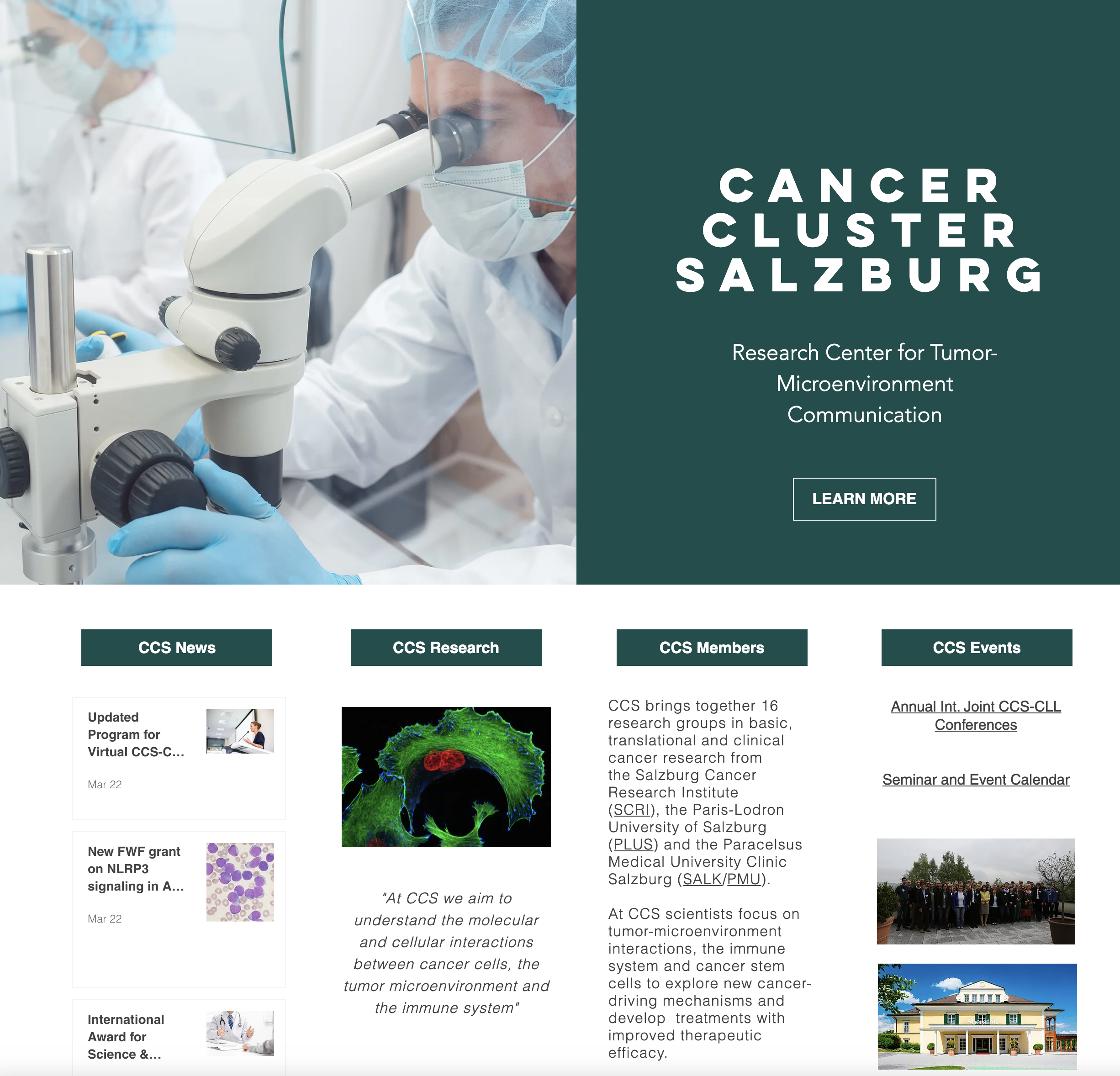 Cancer Cluster Salzburg