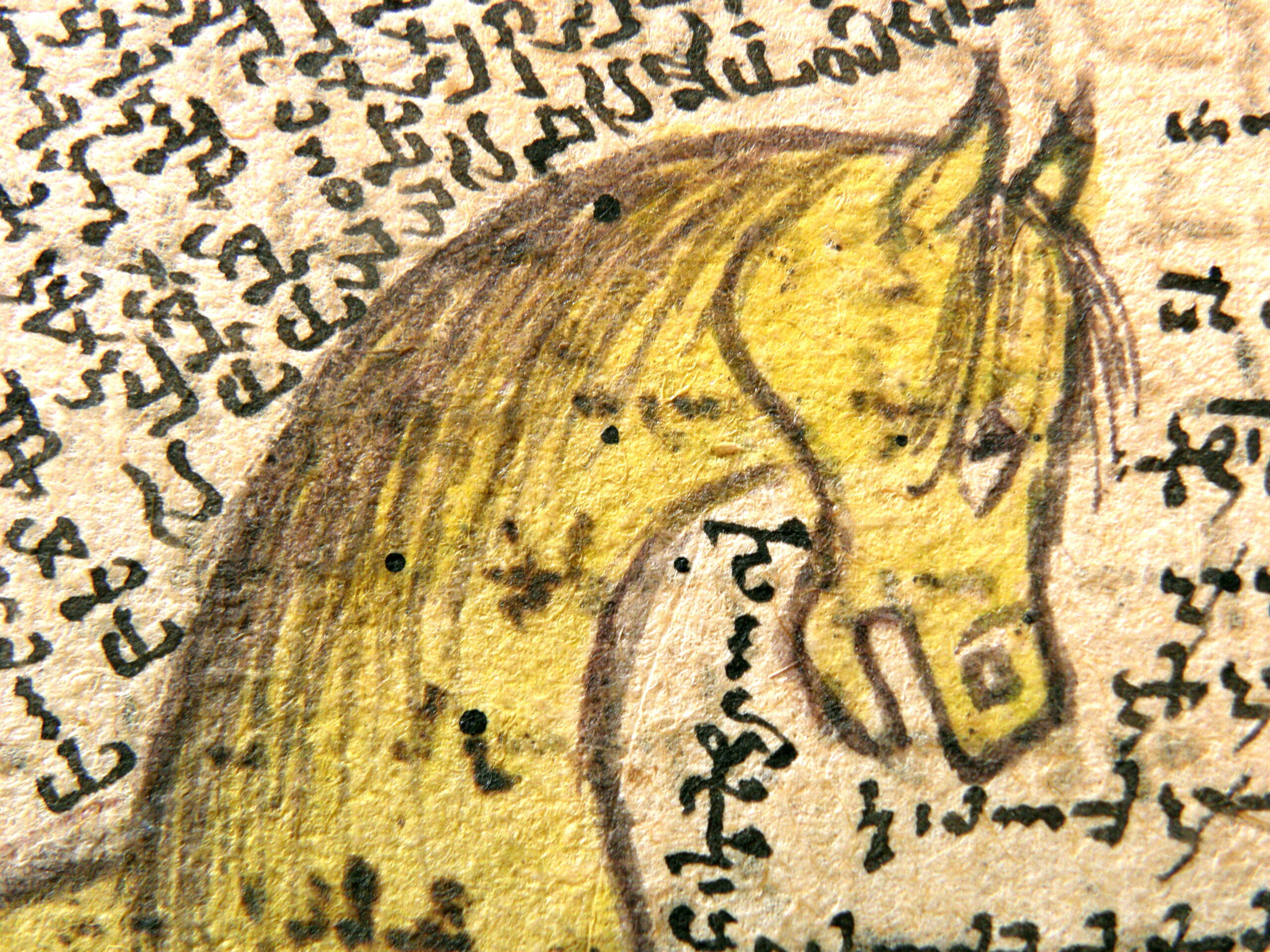 Bild aus der zentralen armenischen Pferdehandschrift aus dem Beginn des 16. Jh. (Matenadaran Codex M11197) | © privat