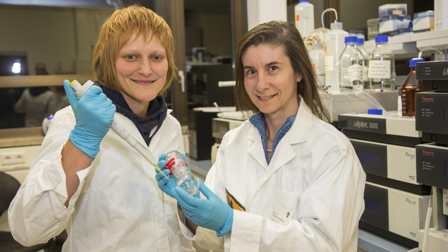 Dissertation meaning picture